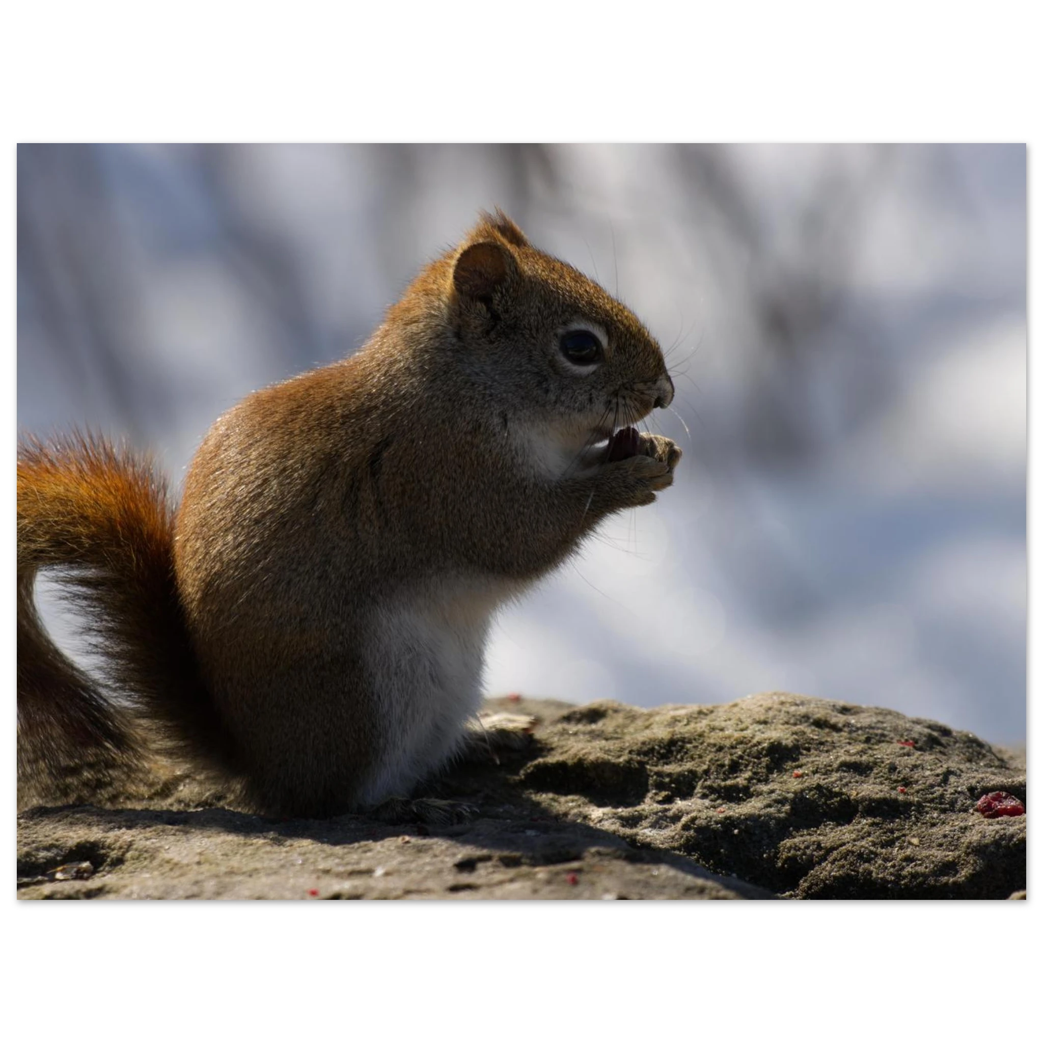 73822ebf-86c0-4ef6-bcae-e745c104d85f