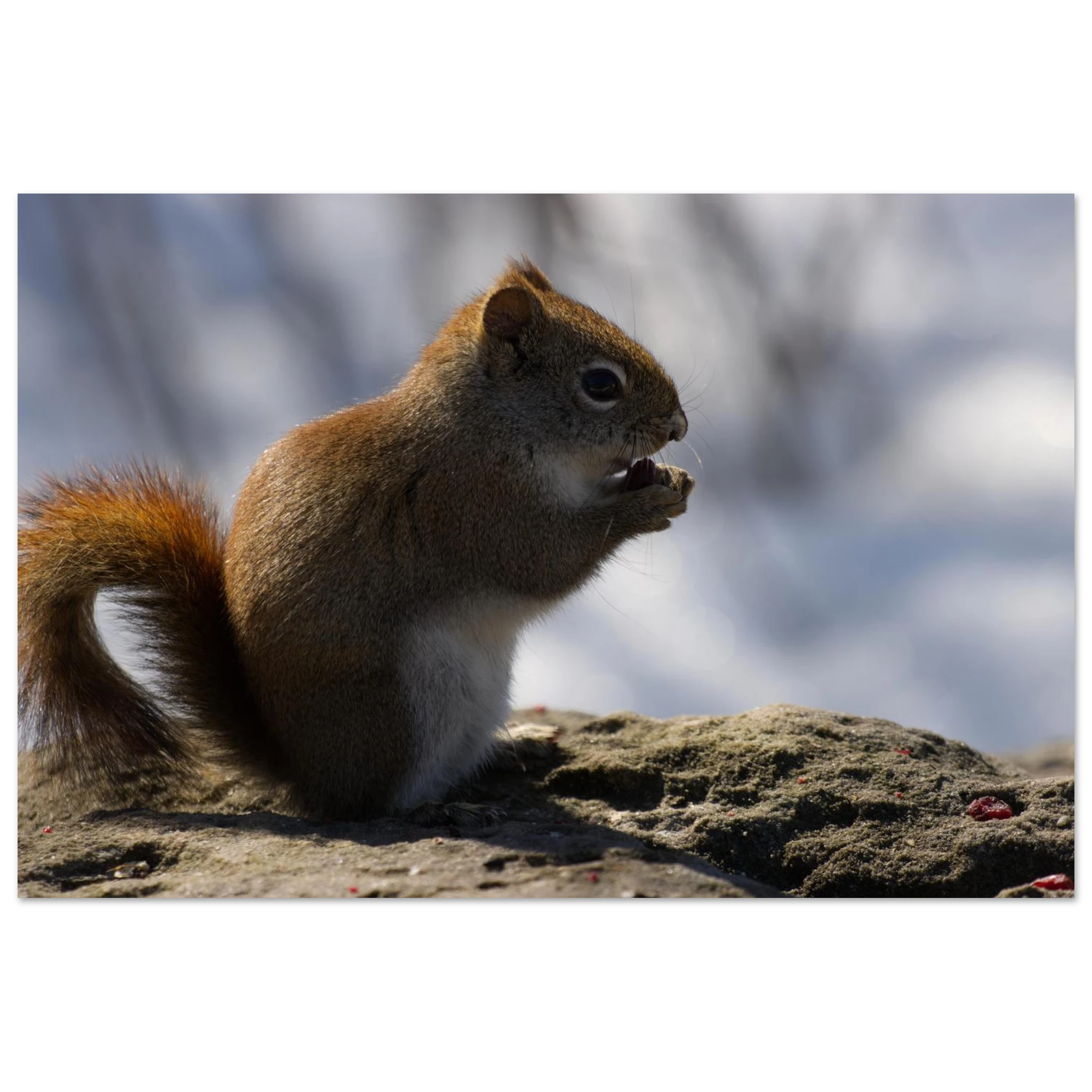 ea829164-5d29-4717-a09f-9c9e70c7295b